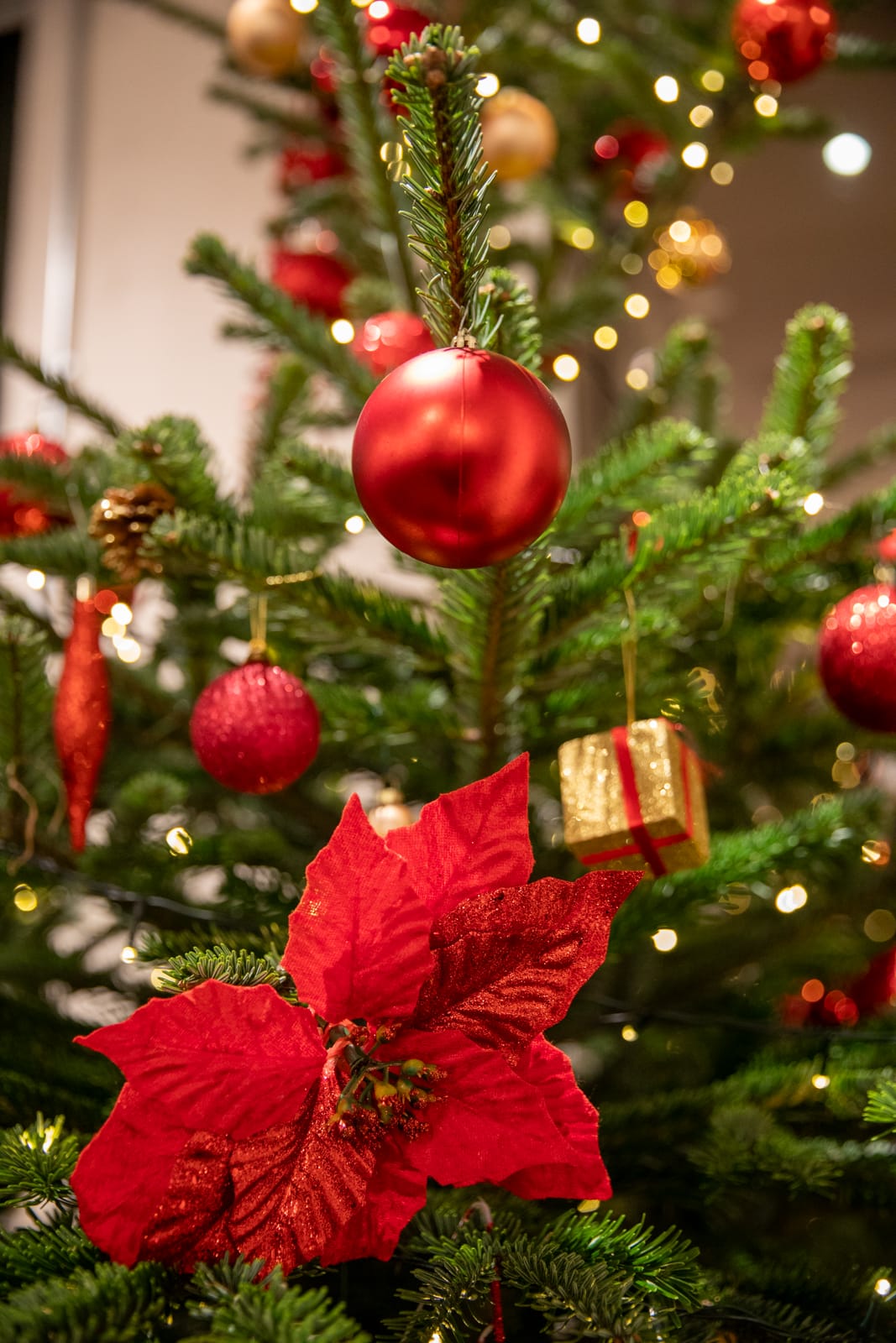 Christmas Community Day 2024 | Royal Academy of Dance