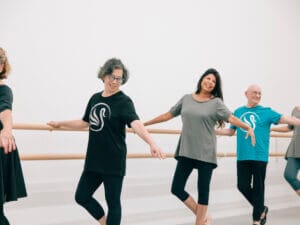 Silver Swans® Live Stream Workshop