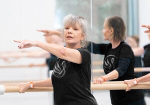 Silver Swans® Workshop (hybrid)